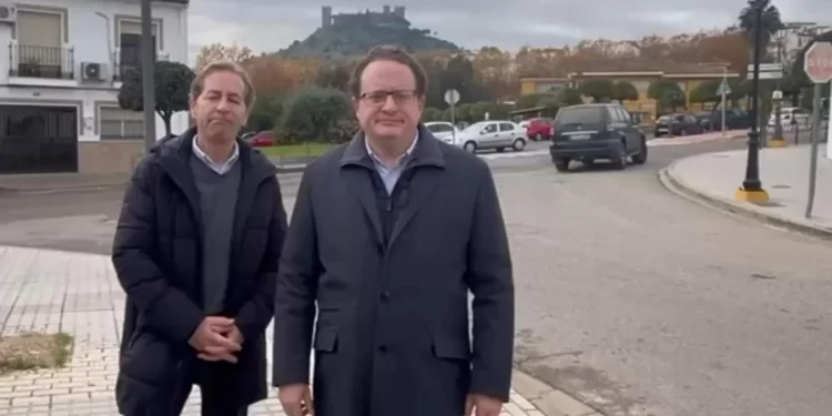 ¿Cómo mejorar el cultivo del olivar? Un nuevo proyecto de la Universidad de Córdoba reúne medidas para su eficiencia y sostenibilidad