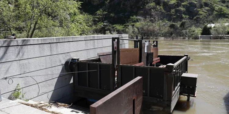 El Ayuntamiento de Toledo licita la Barca Pasaje para reactivar la tradición
