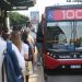 Aumentan los colectivos: el Gobierno anunció el nuevo valor del boleto a partir de abril