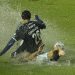 Banfield vs. Independiente: cuándo podrían jugarse los 22 minutos que faltan