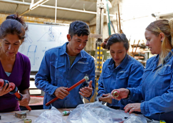 Buenas noticias ANSES: Un nuevo grupo de personas podrá acceder a Volver al Trabajo y Acompañamiento Social