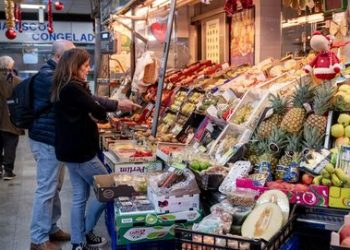 Comparamos el precio del aceite de oliva en Mercadona, Carrefour y Alcampo y este es el supermercado más barato para comprar