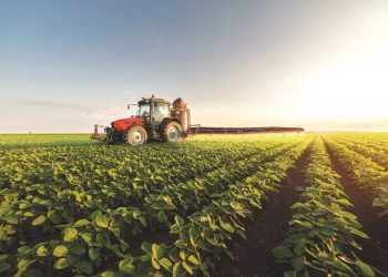 Crear valor económico y social por fuera de las antinomias