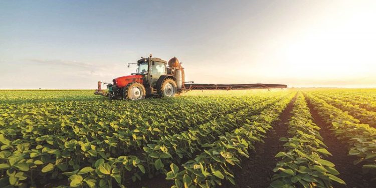 Crear valor económico y social por fuera de las antinomias