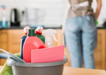 Decretaron un feriado para las empleadas domésticas: cuándo es y qué se conmemora