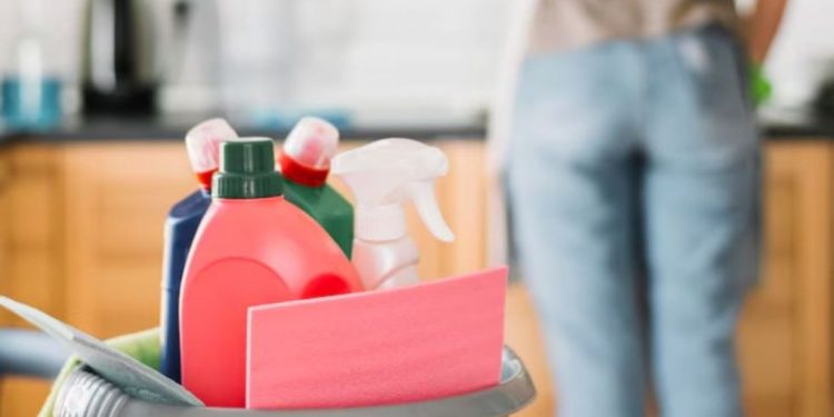 Decretaron un feriado para las empleadas domésticas: cuándo es y qué se conmemora