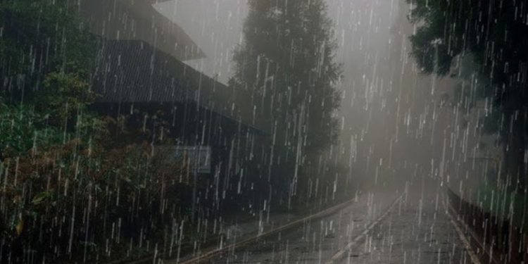 Doble alerta meteorológica por tormentas y caída de granizo: ¿cuándo dejará de llover?