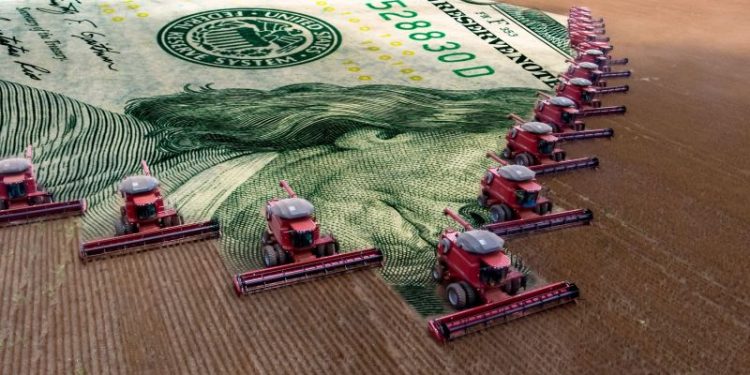 El cultivo que rompe récords y le aportará al país más de u$s 16 millones este año