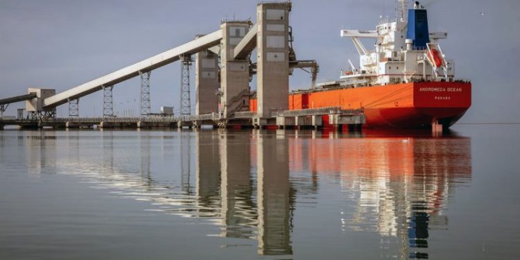 Emergencia en Bahía Blanca: Nación y Provincia discuten la asistencia y hay alerta por efectos colaterales