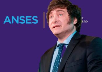 Excelente noticia de ANSES: pagarán un bono de $ 350.000 por única vez en abril, ¿quiénes lo cobran?