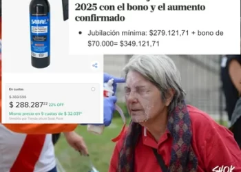 Incidentes en el Congreso: el gas pimienta que usó la policía cuesta casi lo mismo que una jubilación mínima