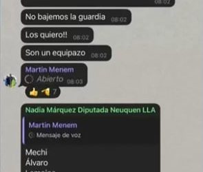 La participación de dos diputados mendocinos en los audios de Martín Menem arengando el caos en el recinto