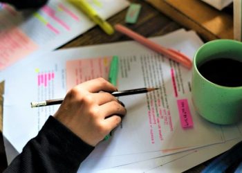 Las 3 carreras universitarias más fáciles y lucrativas del momento: ¿por qué deberías considerarlas?