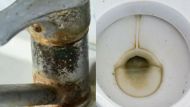 Ni vinagre ni bicarbonato: el truco definitivo para quitar el sarro de las canillas y del inodoro al instante