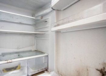 Ni vinagre ni bicarbonato: el truco definitivo para limpiar el freezer
