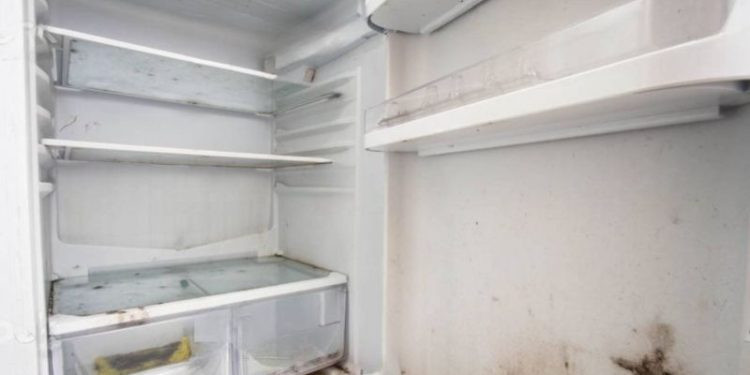 Ni vinagre ni bicarbonato: el truco definitivo para limpiar el freezer