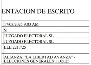 Presentan un frente “trucho” de La Libertad Avanza para el 11 de mayo