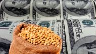 El sector que empuja las exportaciones y el que está bajo riesgo por el "dólar barato"