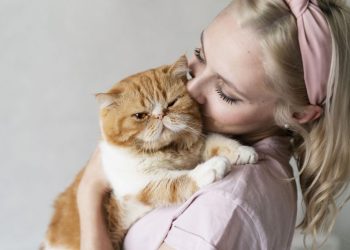 Una investigación científica sorprendió al revelar que los gatos pueden comer más de 2000 especies de animales