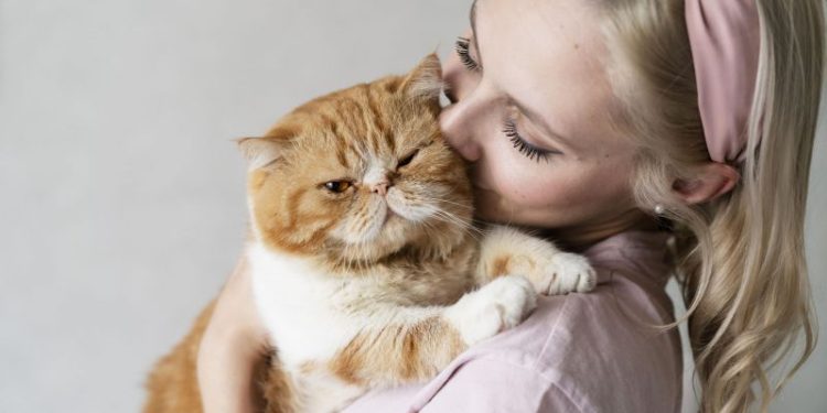 Una investigación científica sorprendió al revelar que los gatos pueden comer más de 2000 especies de animales