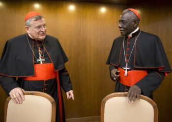 Los Cardenales que intentaron derrocar al Papa y ahora influirán para elegir su sucesor
