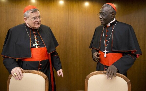 Los Cardenales que intentaron derrocar al Papa y ahora influirán para elegir su sucesor