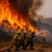 Israel Declara “Emergencia Nacional” por Iincendios forestales; despliegan Ejército y solicitan ayuda internacional