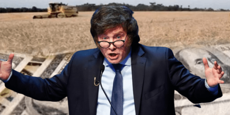 Milei al campo: “Aprovechen ahora, en julio vuelve la fiesta de las retenciones”