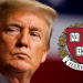¿Adiós a la Universidad de Harvard? Podría perder miles de millones de dólares por una medida de Trump
