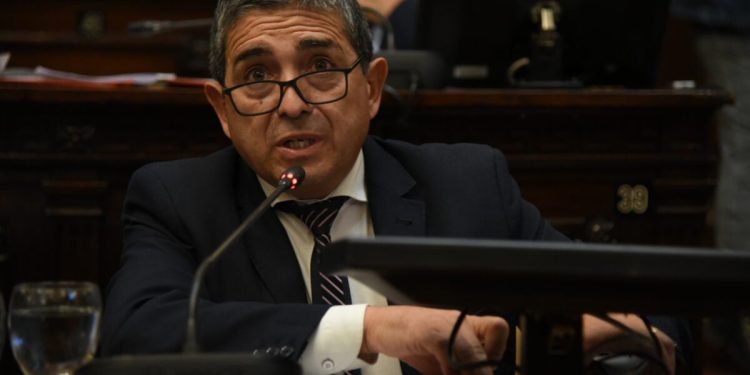 Aprueban en Mendoza la creación del Registro Provincial del Cannabis y Cáñamo Industrial