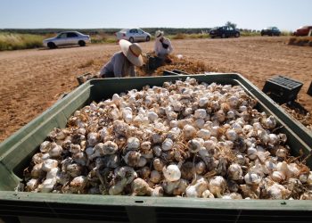 Los aranceles de Trump siembran incertidumbre en la economía córdobesa: «Las ventas caerán; la duda es cuánto»