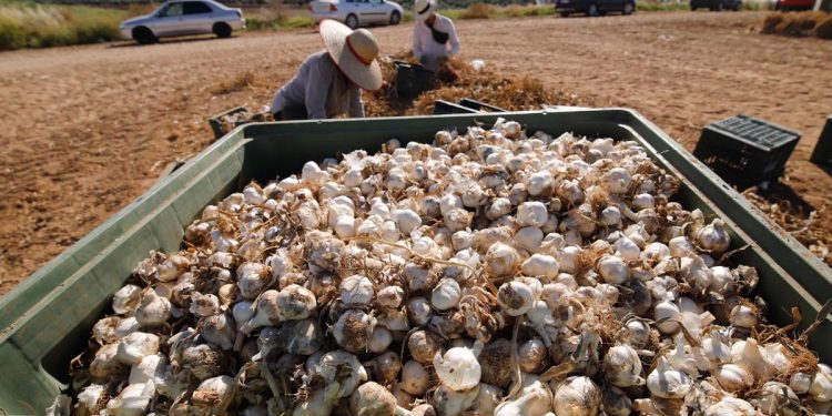 Los aranceles de Trump siembran incertidumbre en la economía córdobesa: «Las ventas caerán; la duda es cuánto»