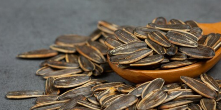 Chau cansancio: el snack repleto de magnesio que sirve para tener más energía