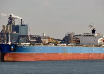 Positivo: Prefectura secuestra más de 500 Kilos de Cocaína en un buque amarrado en Puerto de Vicentin en San Lorenzo