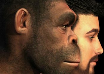 Descubren el eslabón perdido de la evolución humana que reescribe nuestros orígenes