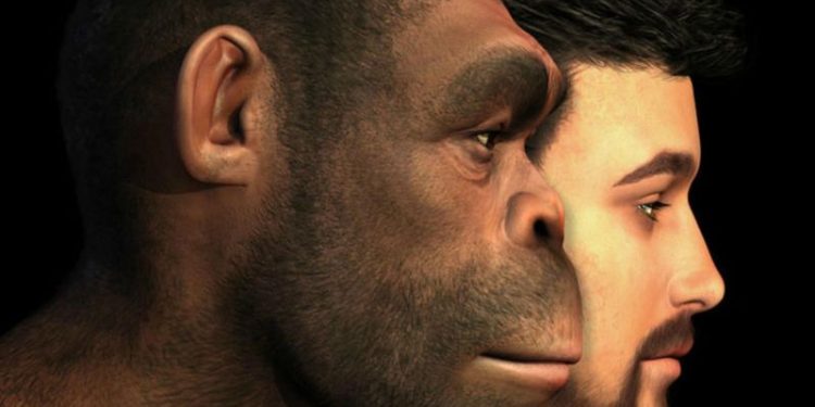 Descubren el eslabón perdido de la evolución humana que reescribe nuestros orígenes