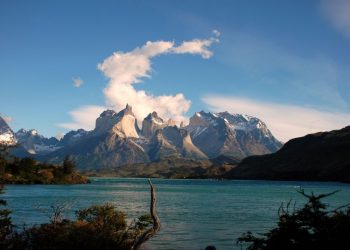 Hallazgo inédito en la Patagonia: descubrieron el dinosaurio que rinde homenaje a la ciencia argentina
