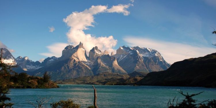 Hallazgo inédito en la Patagonia: descubrieron el dinosaurio que rinde homenaje a la ciencia argentina
