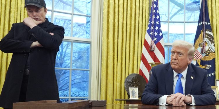 Por su rol en el gobierno de EEUU, Musk pierde US$113.000 millones de su fortuna