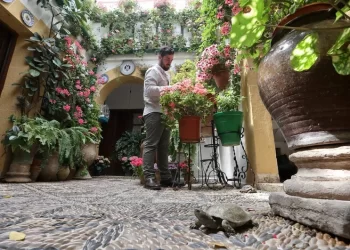 Los bodegueros, sobre la nueva Cata del Vino Montilla-Moriles: «Altas expectativas y testear este modelo»