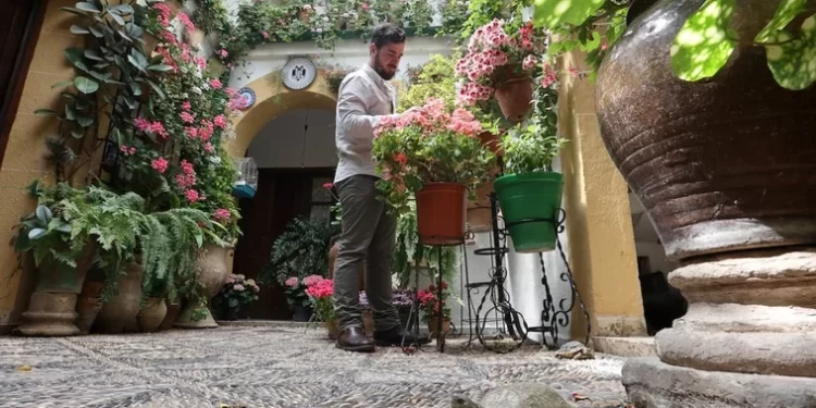 Los bodegueros, sobre la nueva Cata del Vino Montilla-Moriles: «Altas expectativas y testear este modelo»