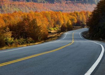 Una empresa acusa a Vialidad Nacional de manejos indebidos en la gestión Milei