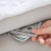 Todo lo que debes saber sobre el plan para utilizar los dólares del colchón