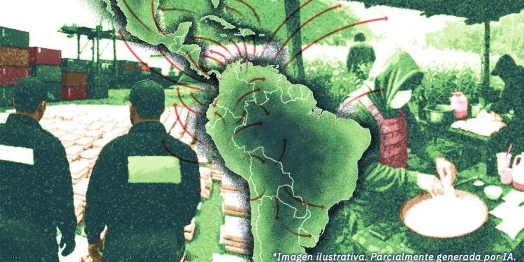 Argentina presenta la menor cantidad de cocaína incautada en Sudamérica en 2024; Colombia lidera ampliamente las cifras regionales