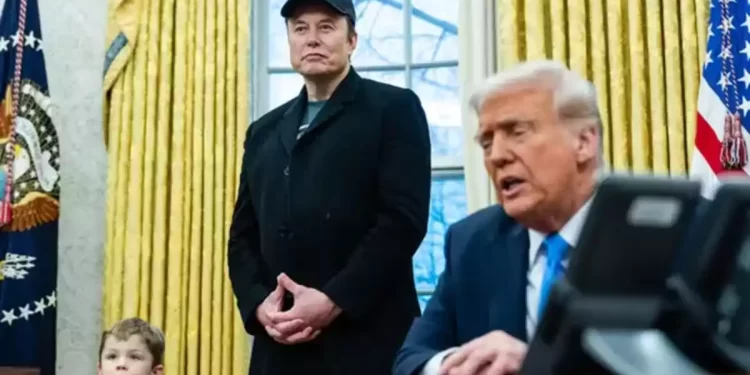 Trump despidió a Elon Musk del Departamento de Eficiencia Gubernamental tras su controvertida gestión