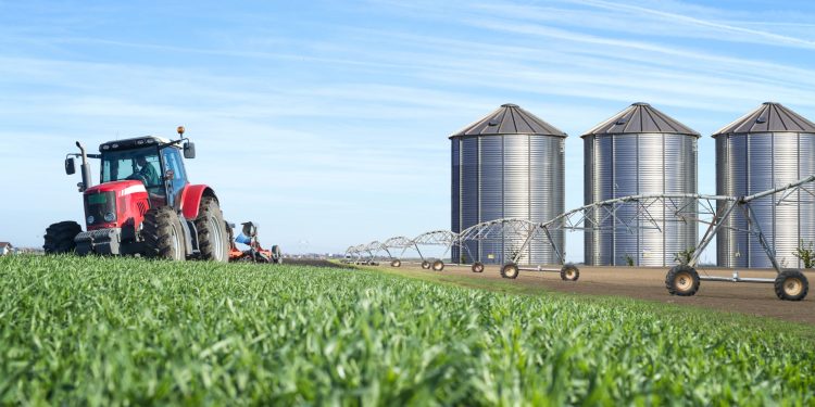 Informe BCR: Agroindustria generó el 92% de las divisas netas en últimos cinco años