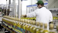 Prohíben este reconocido aceite de oliva por ser ilegal y exigen su retiro urgente de los supermercados