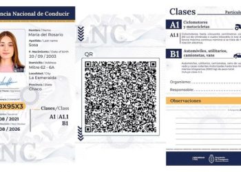 Desde hoy rige la nueva Licencia de Conducir: qué provincias adhirieron y cómo es el trámite online