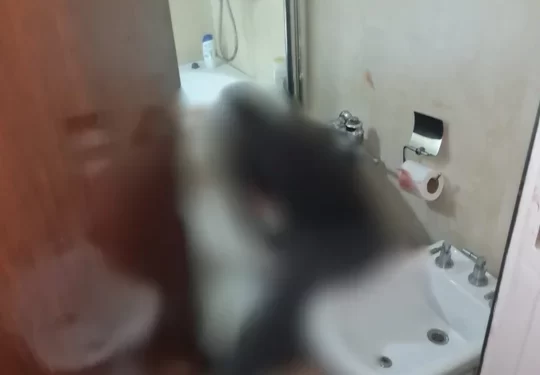 Imágenes sensibles: así hallaron la escena de la masacre de Villa Crespo