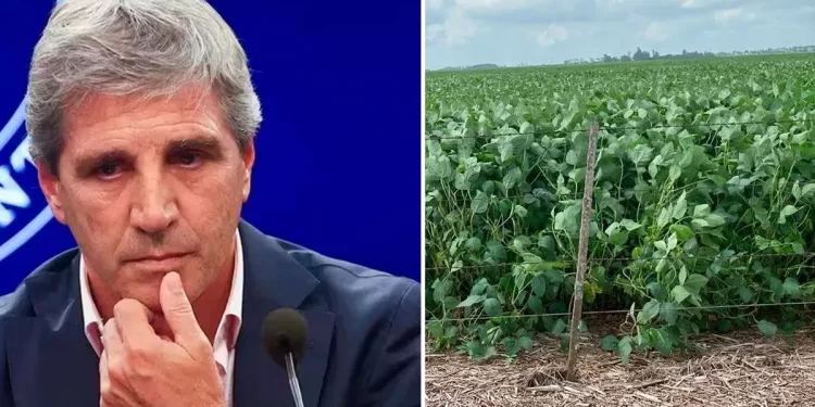 El campo intensifica la presión y exige al Gobierno eliminar las retenciones cuanto antes